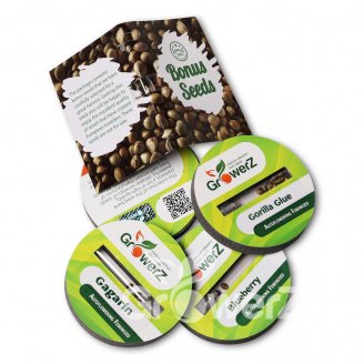 Cream Mandarine Auto Fem.