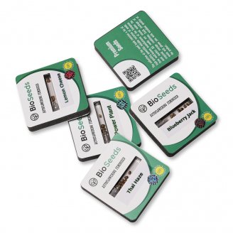 Семена конопли купить сорт Tangie'matic Auto Fem.