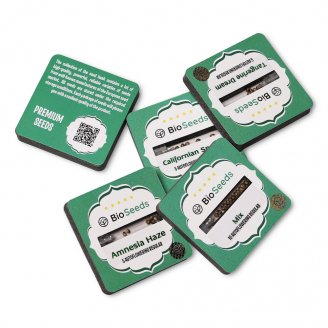 Семена конопли купить сорт Cheese Auto Reg.