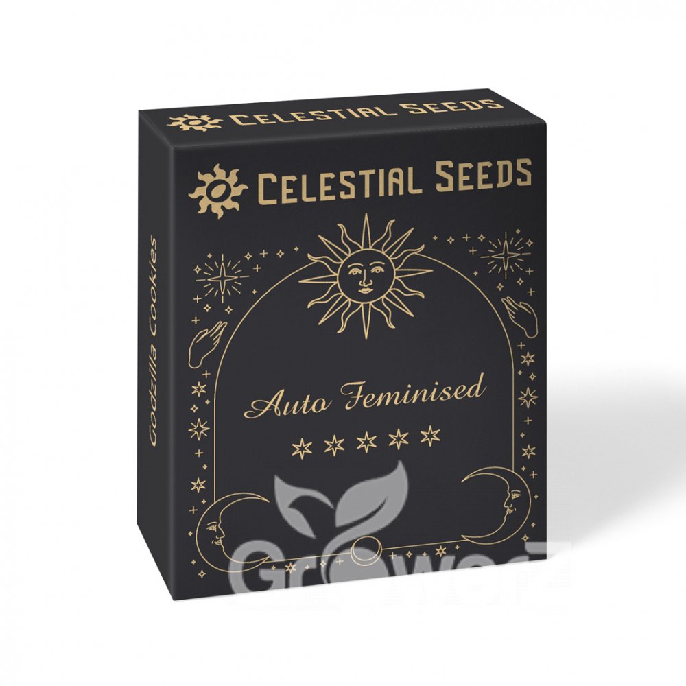White Widow Auto Fem.